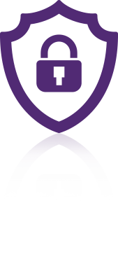 network security icon